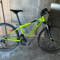 Bici 24 pollici