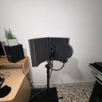 Microfono da studio professionale