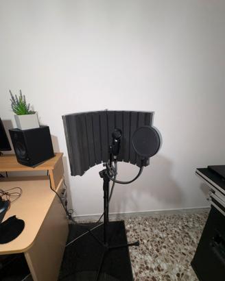 Microfono da studio professionale