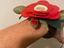 Immagine 2