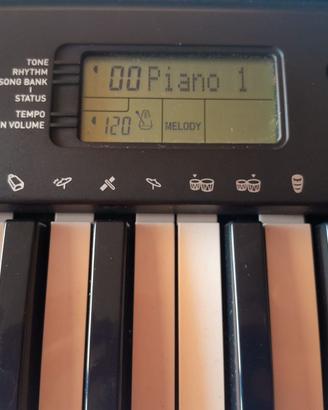CASIO CTK 240 Tastiera 4 ottave fodero alimentator