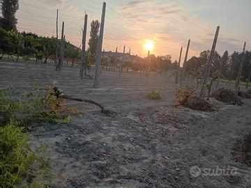 [Ravenna] Terreno agricolo edificabile