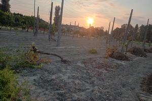 [Ravenna] Terreno agricolo edificabile