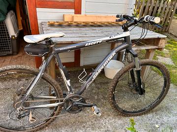 Mtb in buon stato