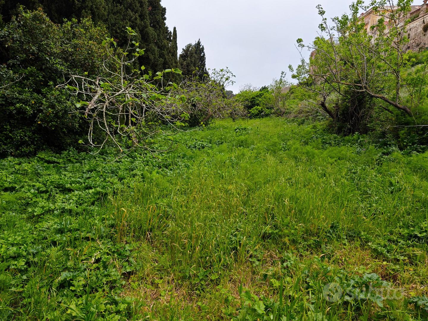 Terreno Edificabile a CASTANEA - Vista 3