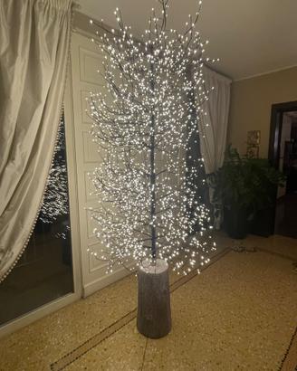 Albero di Natale