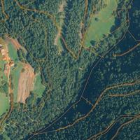 Terreni agricoli e bosco