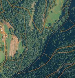 Terreni agricoli e bosco