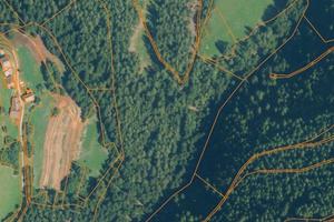 Terreni agricoli e bosco