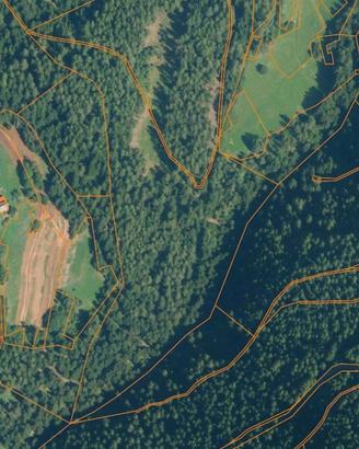 Terreni agricoli e bosco