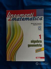 Lineamenti di matematica