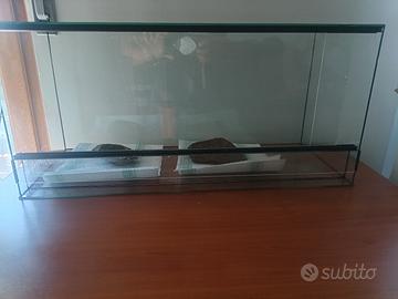 Acquario