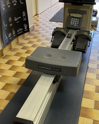 Technogym Rowrace HC900
