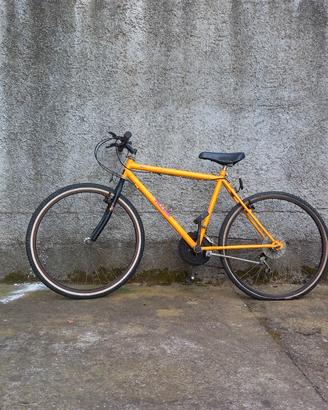 bicicletta