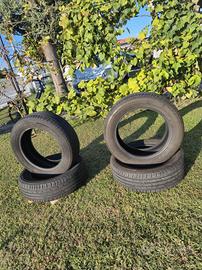Gomme estive 