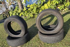 Gomme estive 