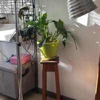 Piantana Vintage
