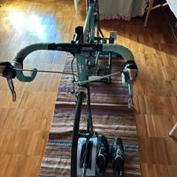 Bianchi nirone