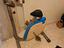 Immagine 1