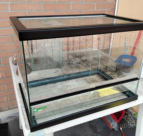 Terrario per rettili