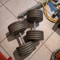 manubri palestra ghisa 47kg