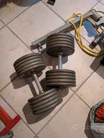 manubri palestra ghisa 47kg