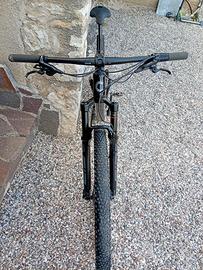 MTB biammortizzata  29'