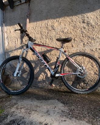 Bici mtb speed