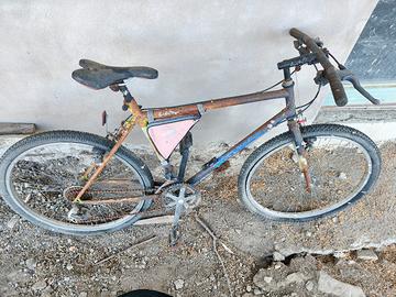 MTB mountain bike Colnago vintage anni 90