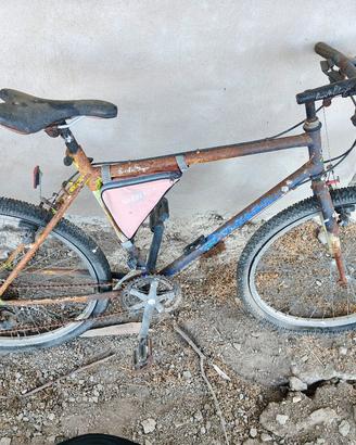 MTB mountain bike Colnago vintage anni 90