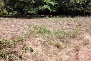 Terreno a stella santa giustina