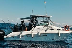 Wellcraft 270 Coastal + 2x300hp Suzuki (2025)