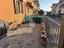 Immagine 18