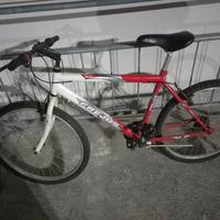 bicicletta per uomo 