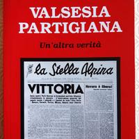 Valsesia partigiana. Un’altra verità di R. Gremmo