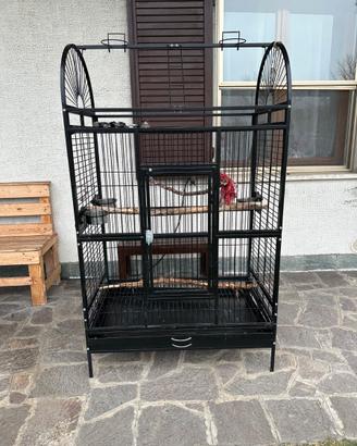 Gabbia per pappagalli