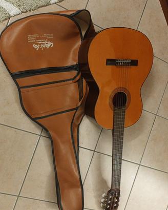 Chitarra acustica Magic bus