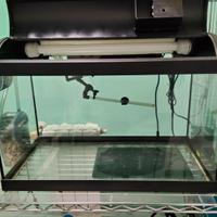 Acquario per pesci o tartarughe