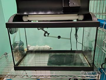 Acquario per pesci o tartarughe