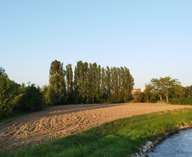 Terreno agricolo
