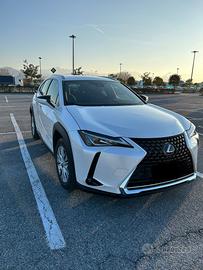 Lexus UX 250
