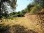 Immagine 7