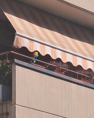 tenda da balcone
