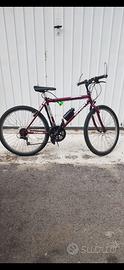 Bici mountabike