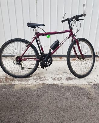 Bici mountabike