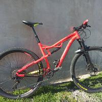 MTB XC 100S Rockrider tg L