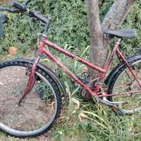 Bicicletta Mountain Bike (1)