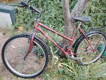 Bicicletta Mountain Bike (1)