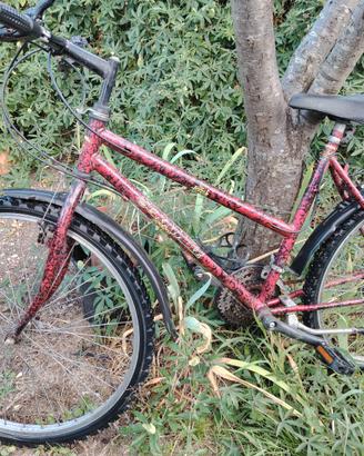 Bicicletta Mountain Bike (1)