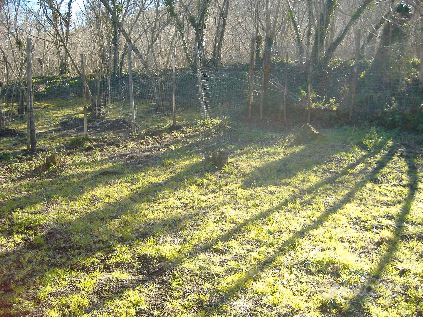 Terreno agricolo produttivo 1900 mq - Altro